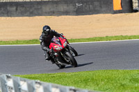 brands-hatch-photographs;brands-no-limits-trackday;cadwell-trackday-photographs;enduro-digital-images;event-digital-images;eventdigitalimages;no-limits-trackdays;peter-wileman-photography;racing-digital-images;trackday-digital-images;trackday-photos